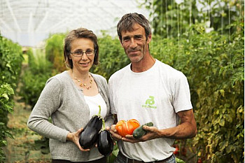 Annuaire Circuits-Courts.localinfo.fr : Le Potager d'Olivier Maraicher à La Ferté Alais