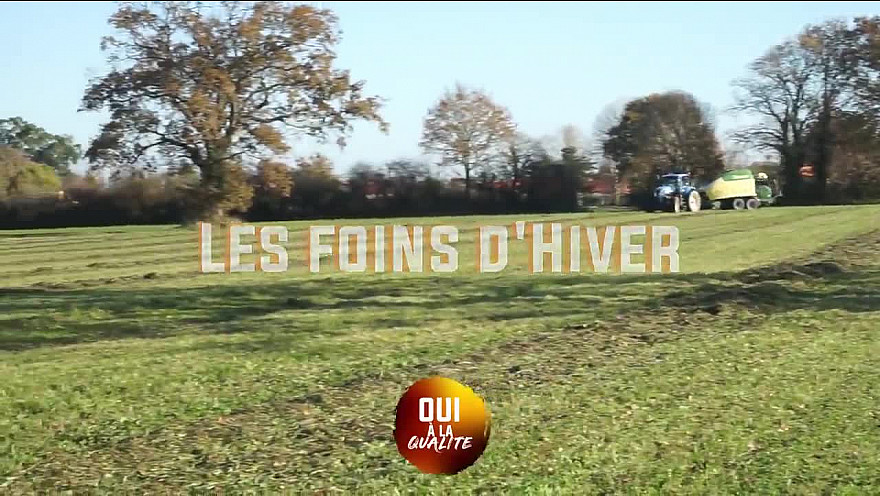 'Oui à la Qualité' :  Georges Allais, Président Fédération des Filières de Qualité Pays de la Loire  nous parle du Foin d'Hiver